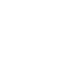 ce logo Surprise