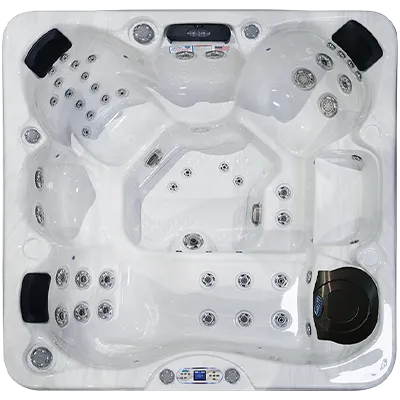 Avalon EC-849L hot tubs for sale in Surprise